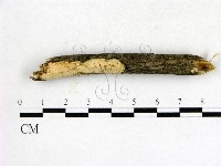 登錄號:F0021357藏品圖，第1張