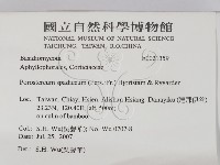 登錄號:F0021359藏品圖，第2張