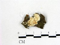 登錄號:F0021360藏品圖，第1張