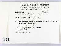 登錄號:F0021361藏品圖，第2張