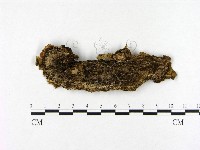 登錄號:F0021361藏品圖，第3張