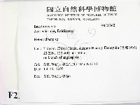 刺皮菌屬藏品圖，第2張