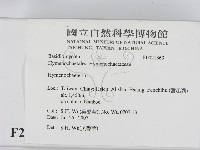 刺革菌屬藏品圖，第2張