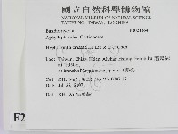 登錄號:F0021364藏品圖，第2張