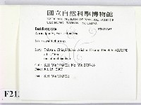 登錄號:F0021365藏品圖，第2張