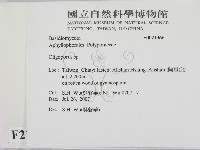 寡孔菌屬藏品圖，第2張
