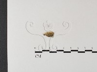 登錄號:F0021369藏品圖，第3張