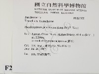 登錄號:F0021370藏品圖，第2張