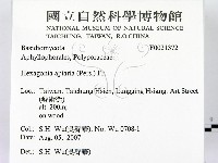 登錄號:F0021372藏品圖，第2張