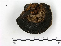 登錄號:F0021372藏品圖，第3張