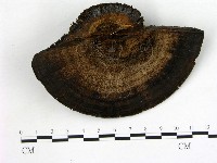 登錄號:F0021373藏品圖，第3張