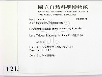 登錄號:F0021374藏品圖，第2張
