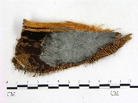 登錄號:F0021374藏品圖，第3張
