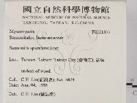 登錄號:F0021377藏品圖，第2張