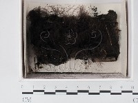 登錄號:F0021377藏品圖，第1張