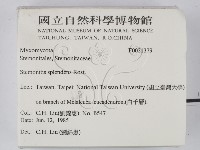 登錄號:F0021379藏品圖，第2張