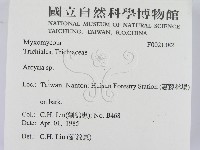 登錄號:F0021382藏品圖，第2張