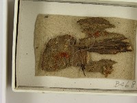 登錄號:F0021382藏品圖，第3張