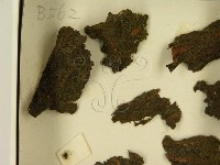 登錄號:F0021383藏品圖，第3張