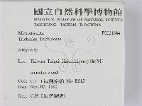 登錄號:F0021384藏品圖，第2張