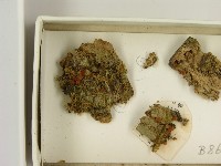 登錄號:F0021385藏品圖，第3張