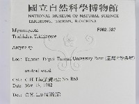 登錄號:F0021387藏品圖，第2張
