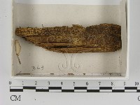 登錄號:F0021387藏品圖，第1張