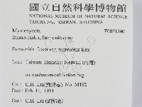 登錄號:F0021390藏品圖，第2張