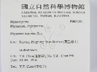 登錄號:F0021391藏品圖，第2張