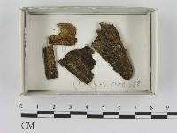 登錄號:F0021391藏品圖，第1張