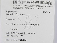 登錄號:F0021392藏品圖，第2張