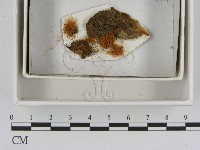 登錄號:F0021392藏品圖，第1張