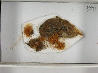 登錄號:F0021392藏品圖，第3張