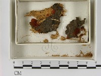 登錄號:F0021395藏品圖，第1張