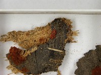 登錄號:F0021395藏品圖，第3張