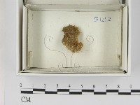 登錄號:F0021396藏品圖，第1張
