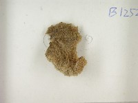 登錄號:F0021396藏品圖，第3張