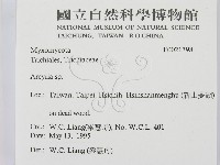 登錄號:F0021398藏品圖，第2張