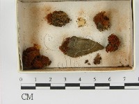 登錄號:F0021400藏品圖，第1張