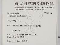 登錄號:F0021401藏品圖，第2張