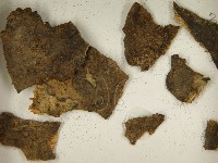 登錄號:F0021402藏品圖，第3張
