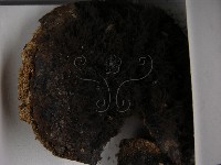 登錄號:F0021405藏品圖，第3張