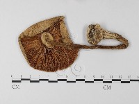 登錄號:F0021406藏品圖，第1張