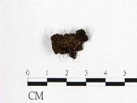登錄號:F0021407藏品圖，第3張
