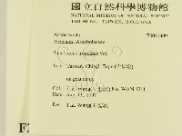 登錄號:F0021409藏品圖，第2張