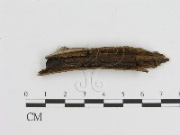 登錄號:F0021410藏品圖，第1張