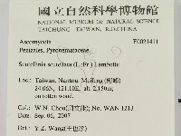 登錄號:F0021411藏品圖，第2張