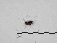 登錄號:F0021413藏品圖，第3張