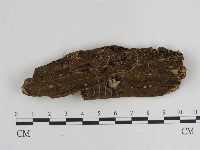 登錄號:F0021414藏品圖，第1張