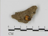 登錄號:F0021415藏品圖，第1張